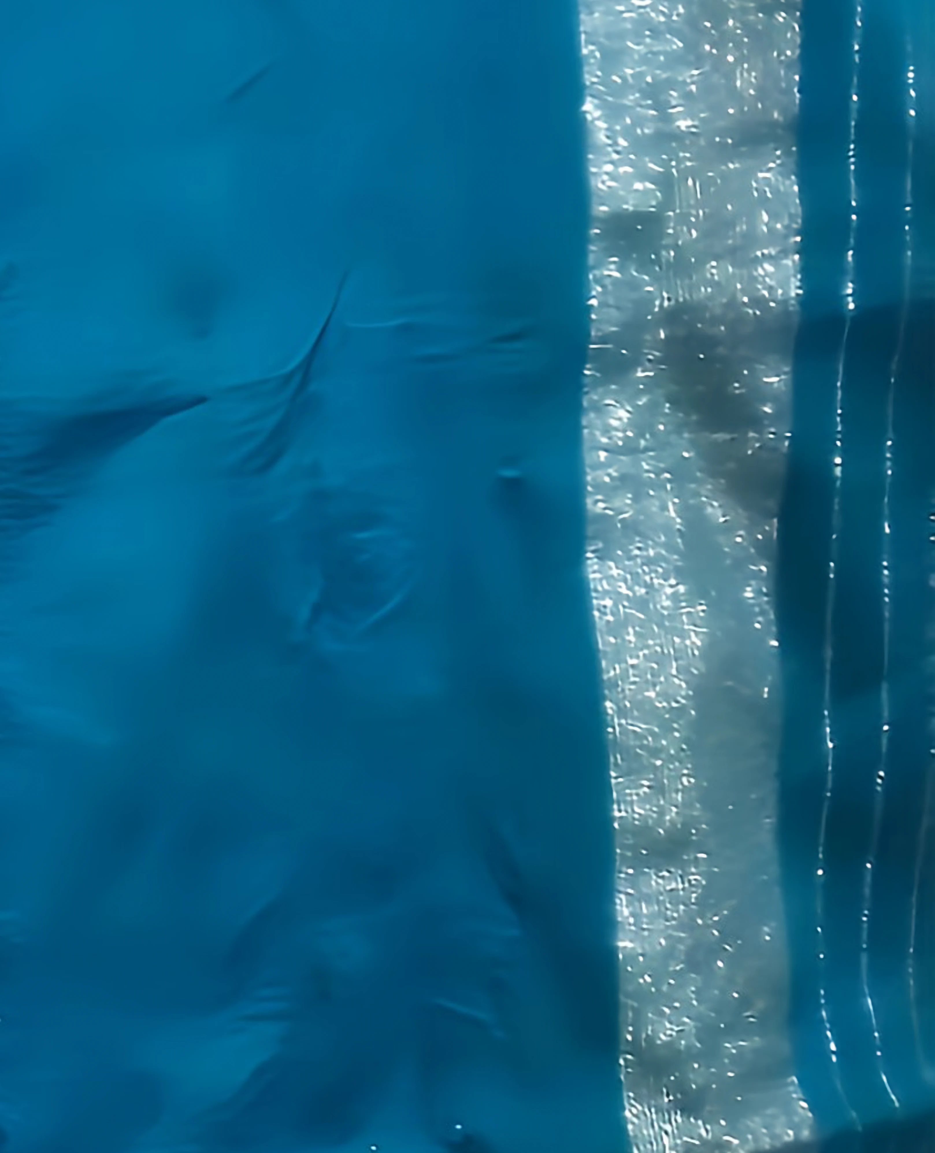 Handloom Cotton-Silk Saree with Silver Work - Peacock Blue